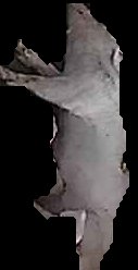 Crop