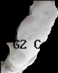 Crop