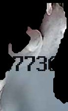 Crop
