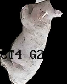 Crop