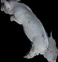 Crop