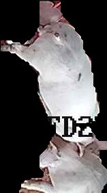 Crop