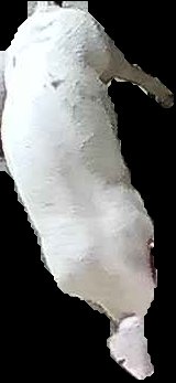 Crop