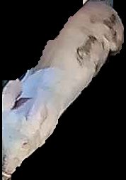 Crop