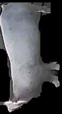 Crop