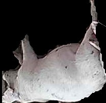 Crop