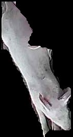 Crop