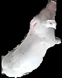 Crop