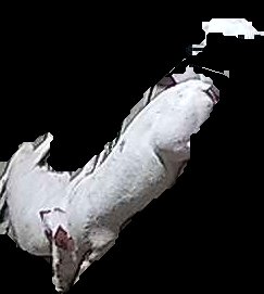 Crop