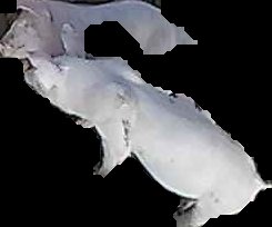 Crop