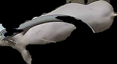 Crop