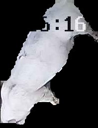 Crop