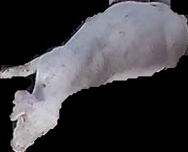 Crop