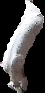 Crop