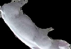 Crop