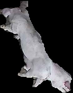 Crop