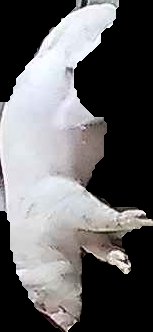 Crop