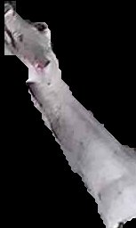 Crop