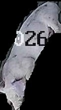 Crop