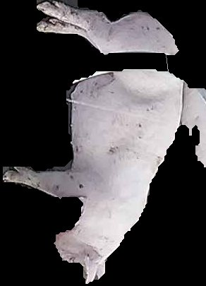 Crop