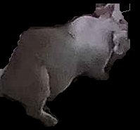 Crop