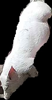 Crop