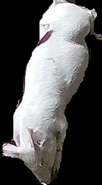 Crop
