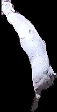 Crop