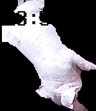 Crop