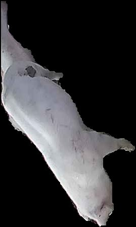 Crop