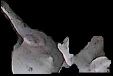 Crop