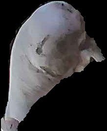 Crop