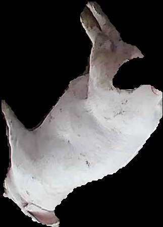 Crop