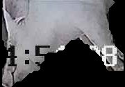 Crop