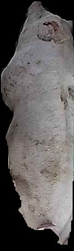 Crop