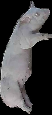 Crop