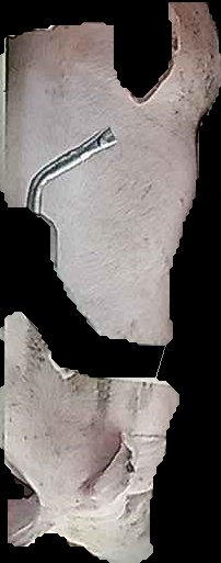 Crop