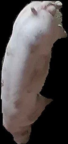 Crop