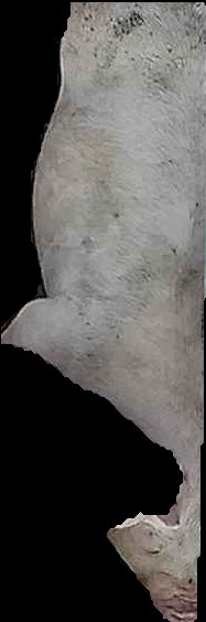 Crop