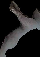 Crop