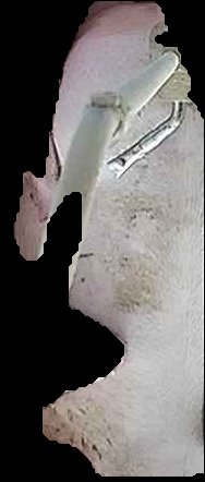 Crop