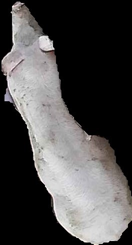 Crop