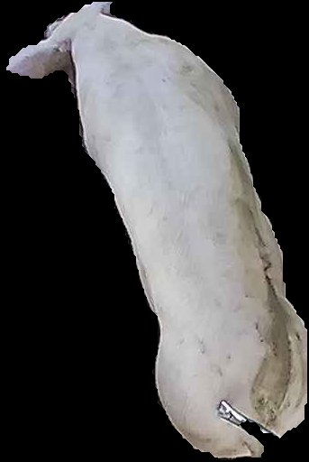 Crop