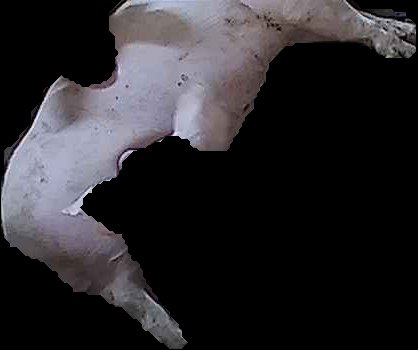 Crop