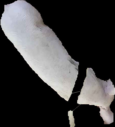 Crop