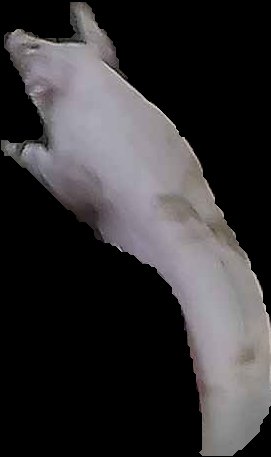 Crop