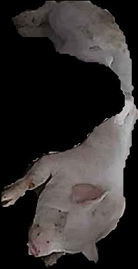 Crop