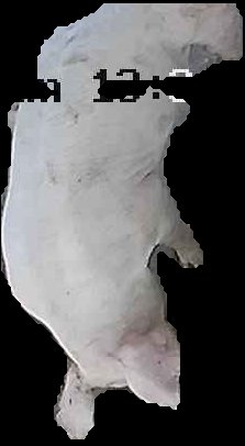 Crop