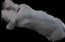 Crop