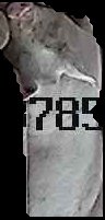 Crop